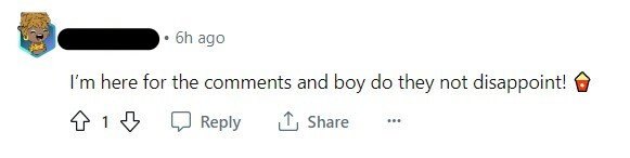 Screenshot van comment section met de tekst 'I'm here for the comments and boy do they not disappoint!'. 
